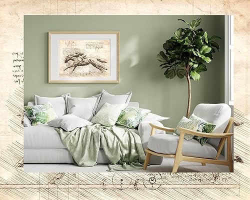 If DaVinci Created a Thoroughbred Race Horse 11 x14 Unframed Print