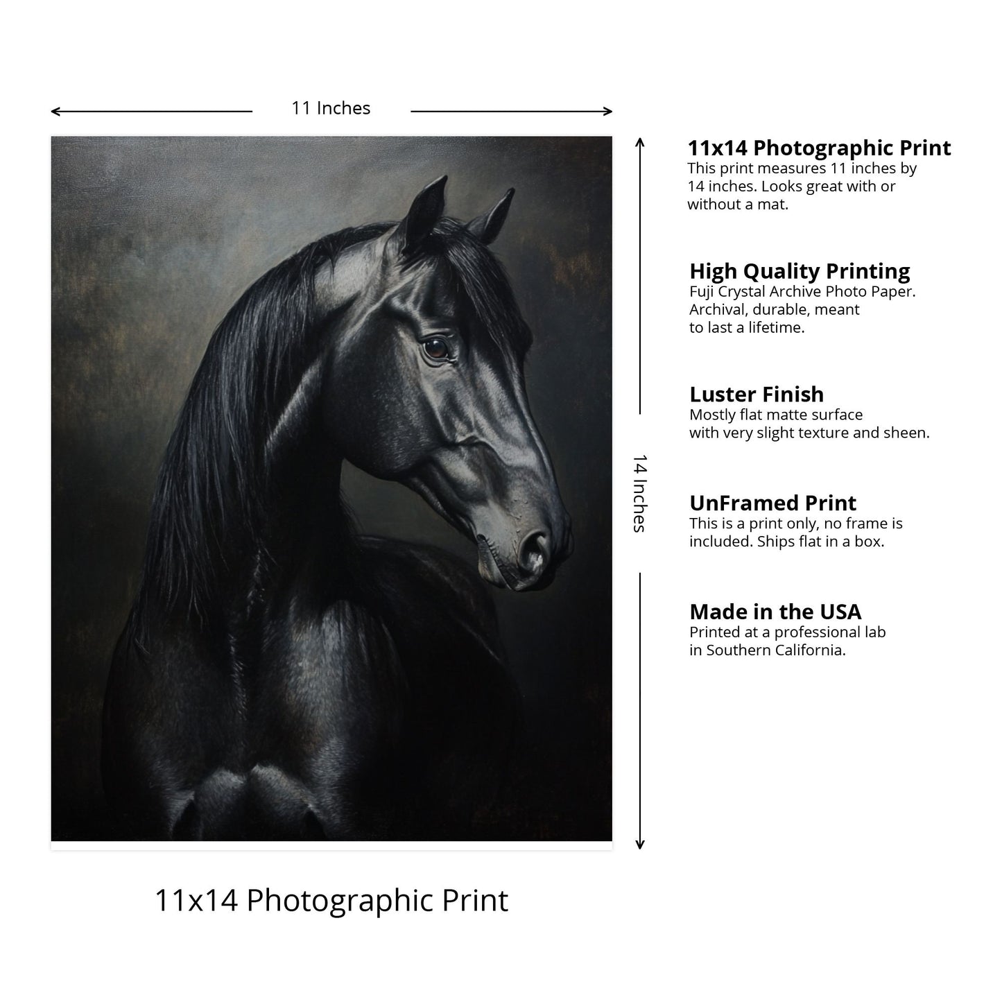 Timeless beauty for Every Horse Lover's Home
