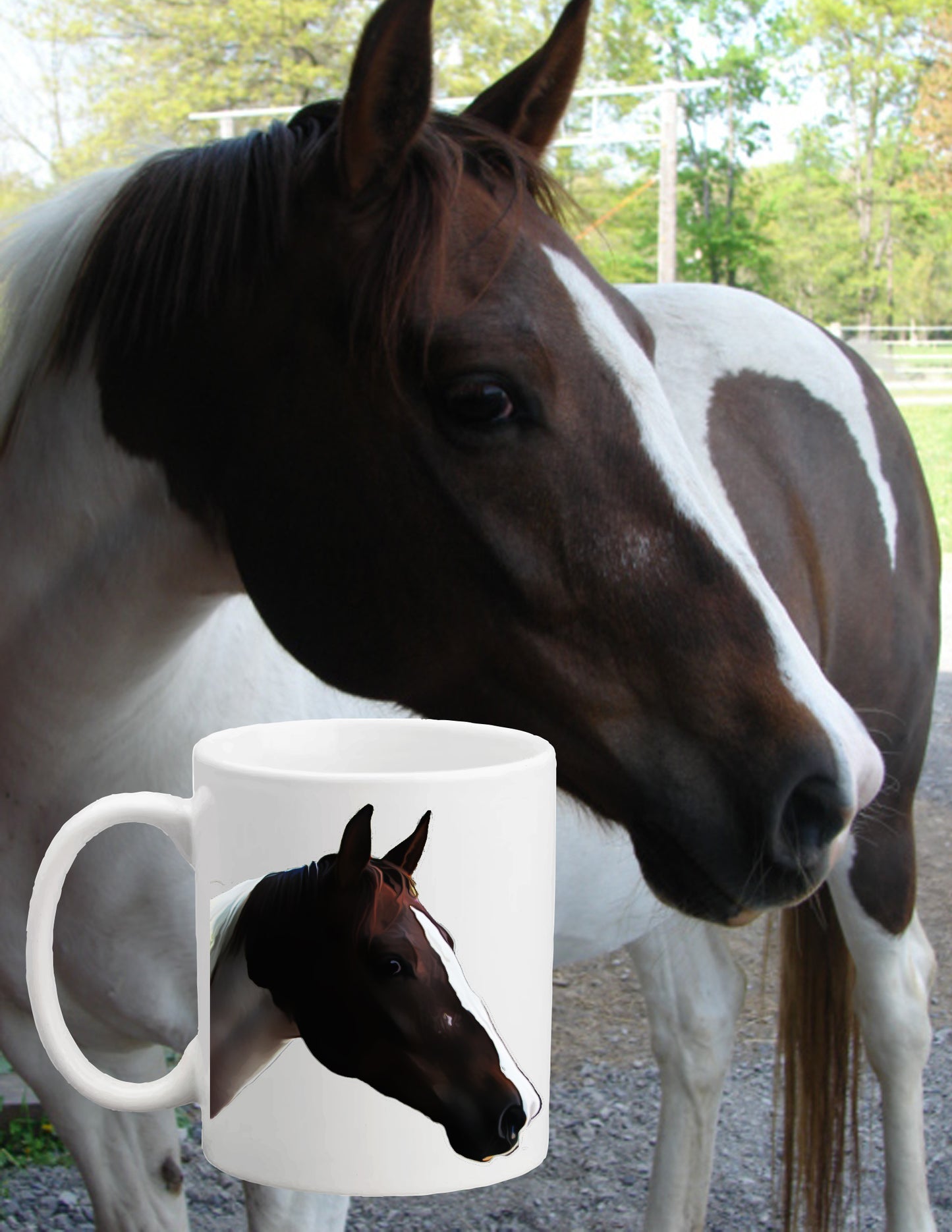 Gorgeous Custom Photo Mugs - Horses, Dogs, Kids or Art - Fun Gift