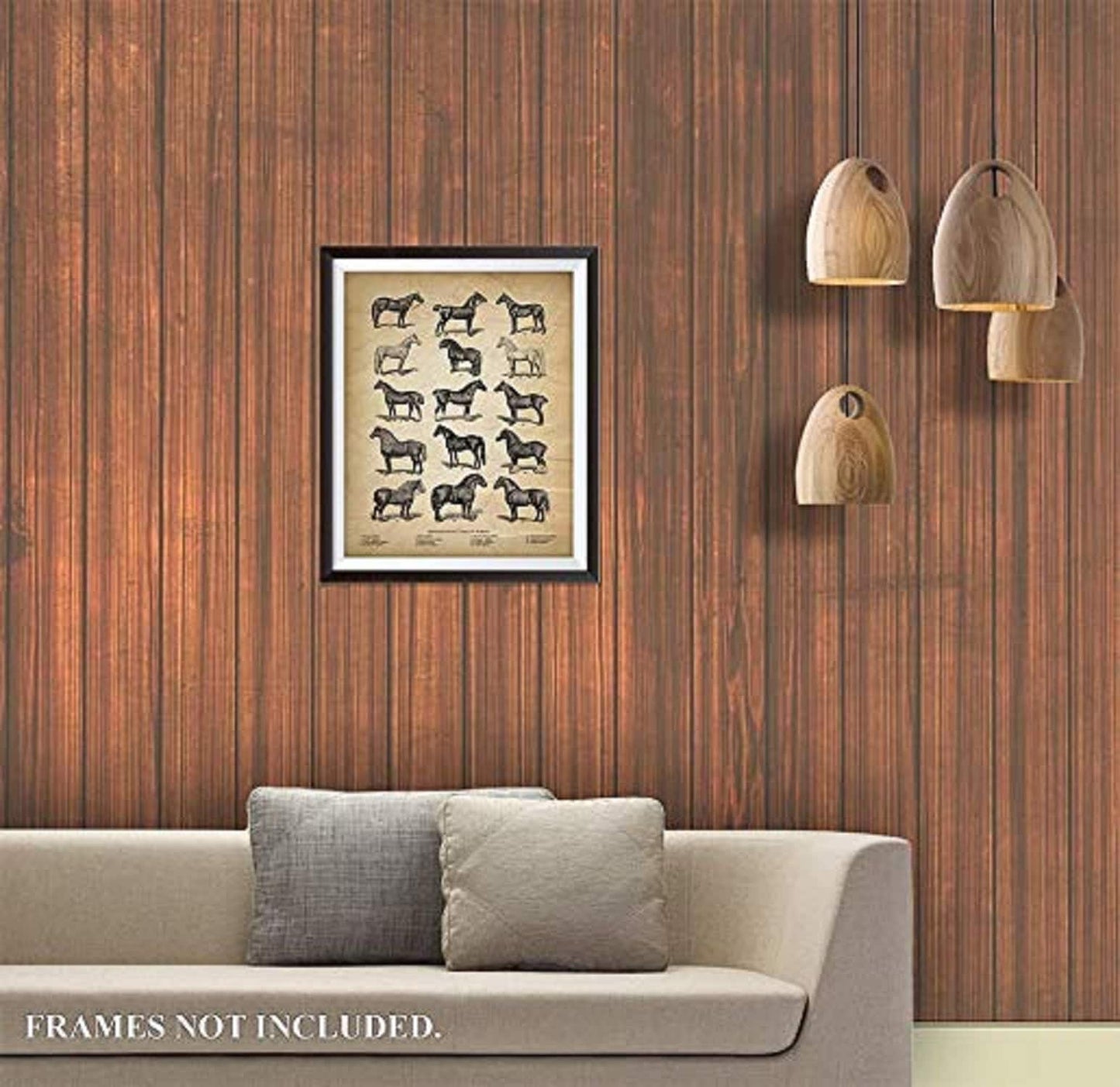 Vintage Farm Animal Print - Types of Horses - Unique Wall Art of a Classic Image - Perfect Gift for All Horse Lovers