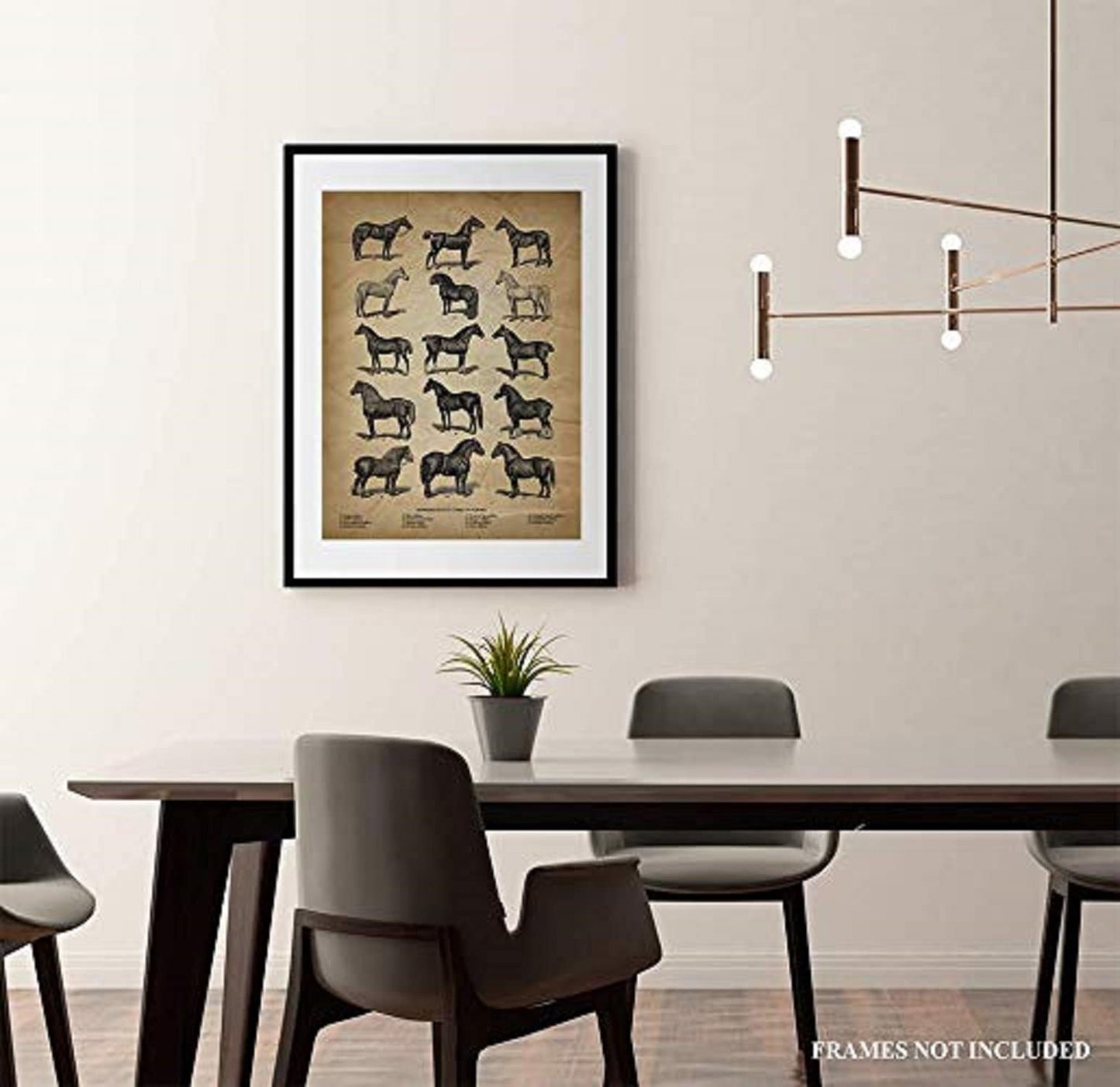 Vintage Farm Animal Print - Types of Horses - Unique Wall Art of a Classic Image - Perfect Gift for All Horse Lovers