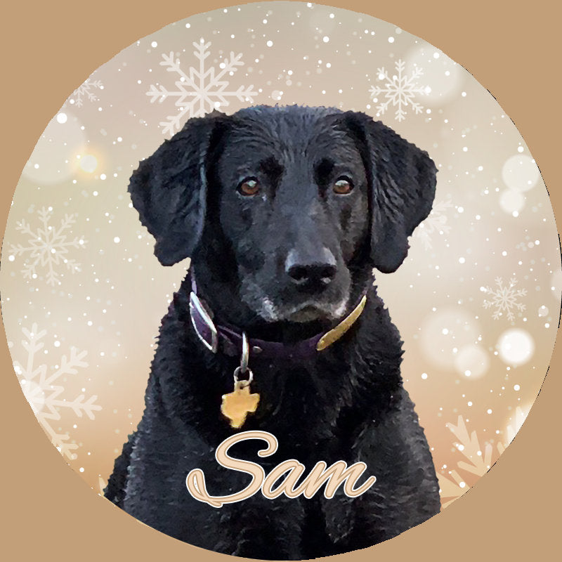 Custom Pet Portrait Ceramic Ornament -Photo & Text - Gift Boxed - Wonderful Gift for Friends, Family,  Thoughtful - Choice background